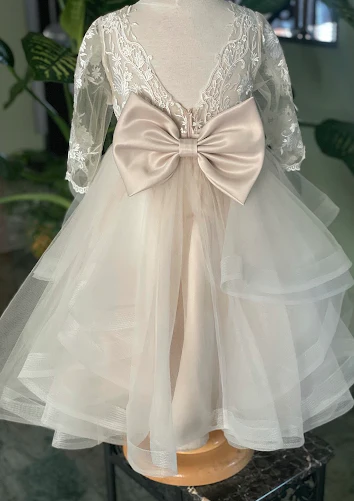 Princess Daliana Applique Sheer Sleeve Tiered Dress 1923 - Image 9