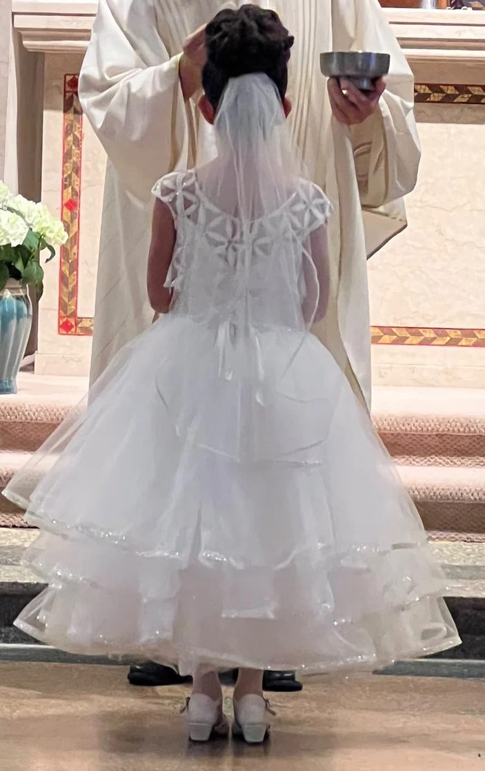 Michelina Bimbi Satin and Tulle Communion Dress with Coverlet J3009 - Image 18