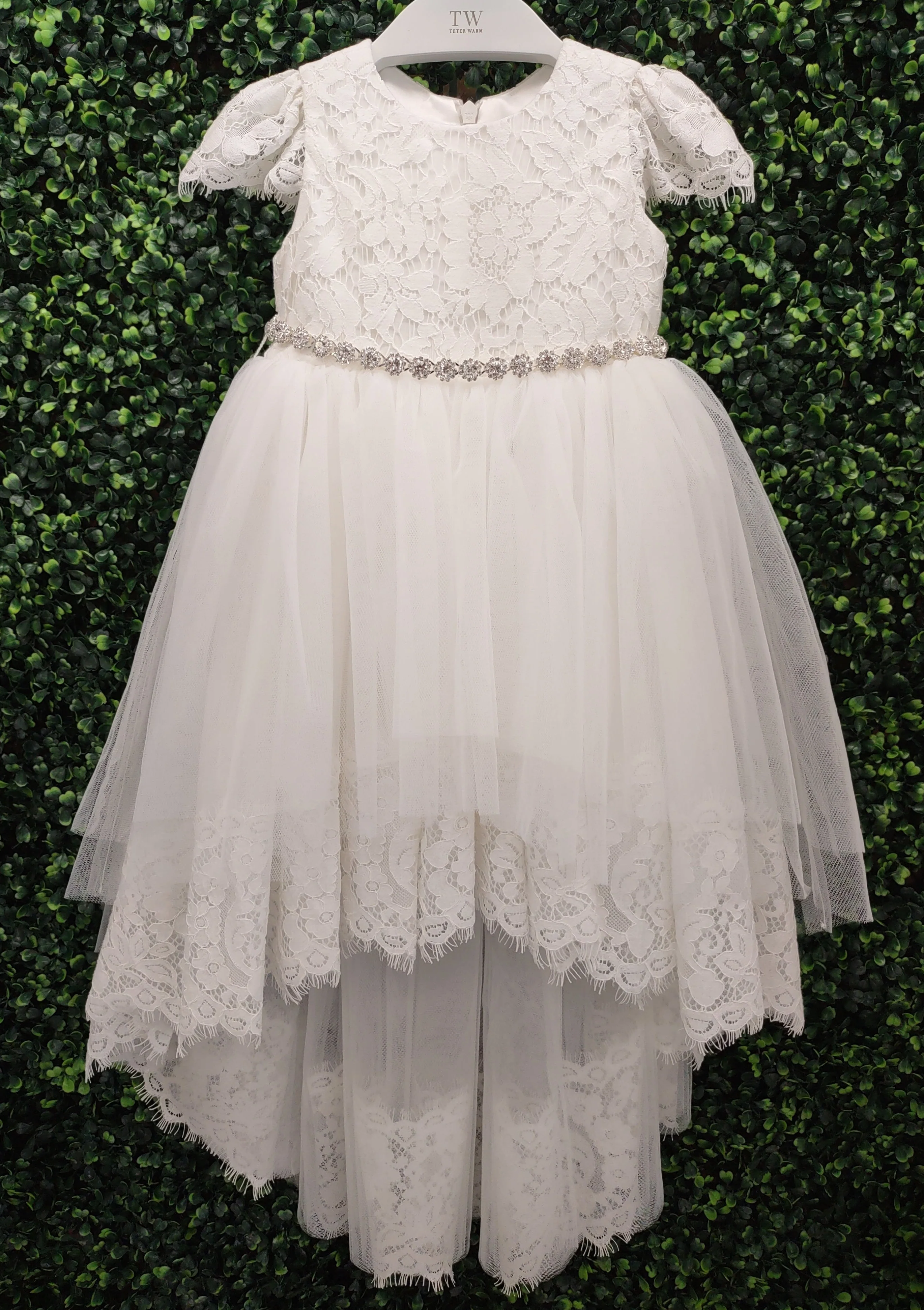 Teter Warm Lace Short Sleeve Dress With Train - B107 - Image 4