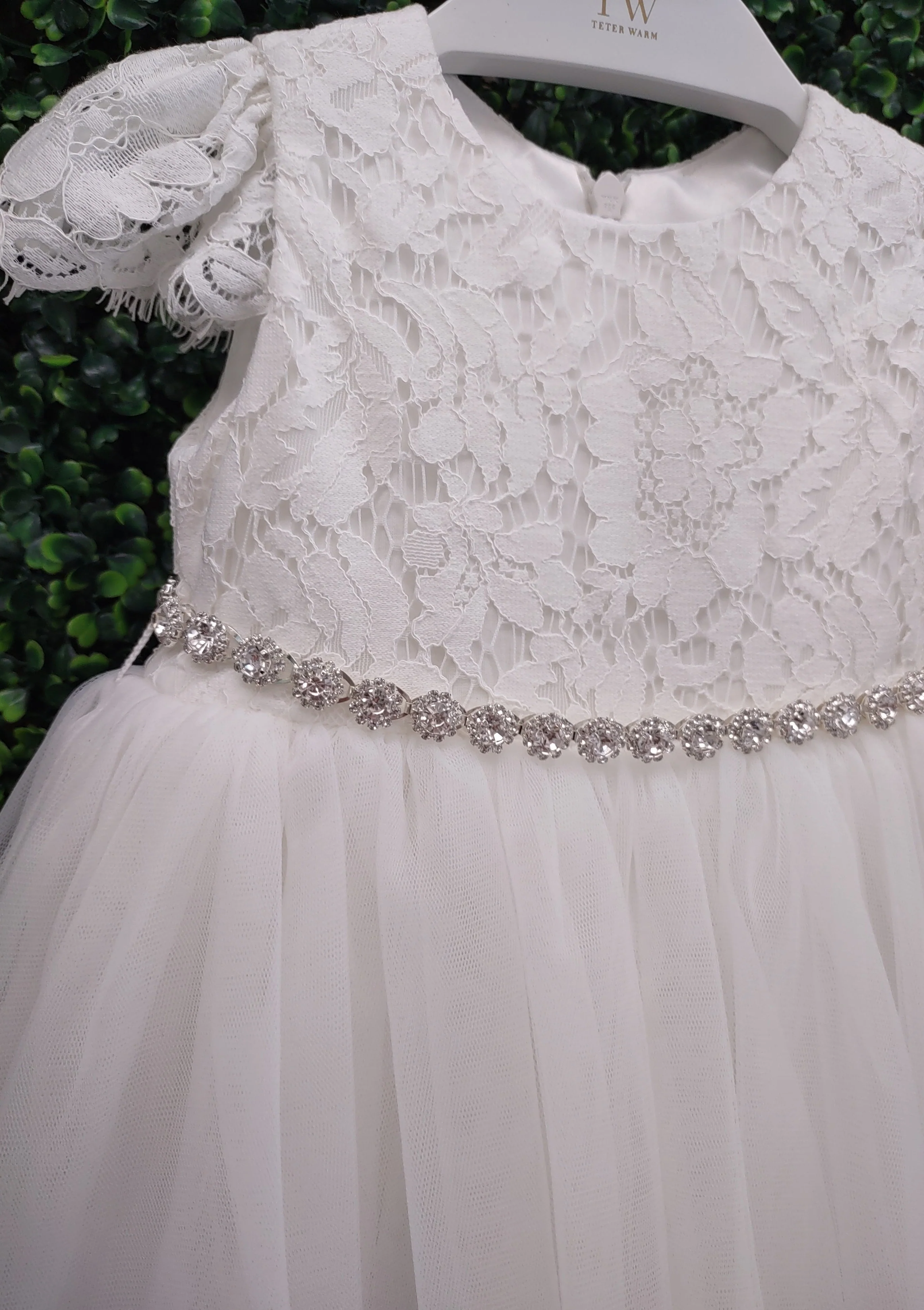 Teter Warm Lace Short Sleeve Dress With Train - B107 - Image 5