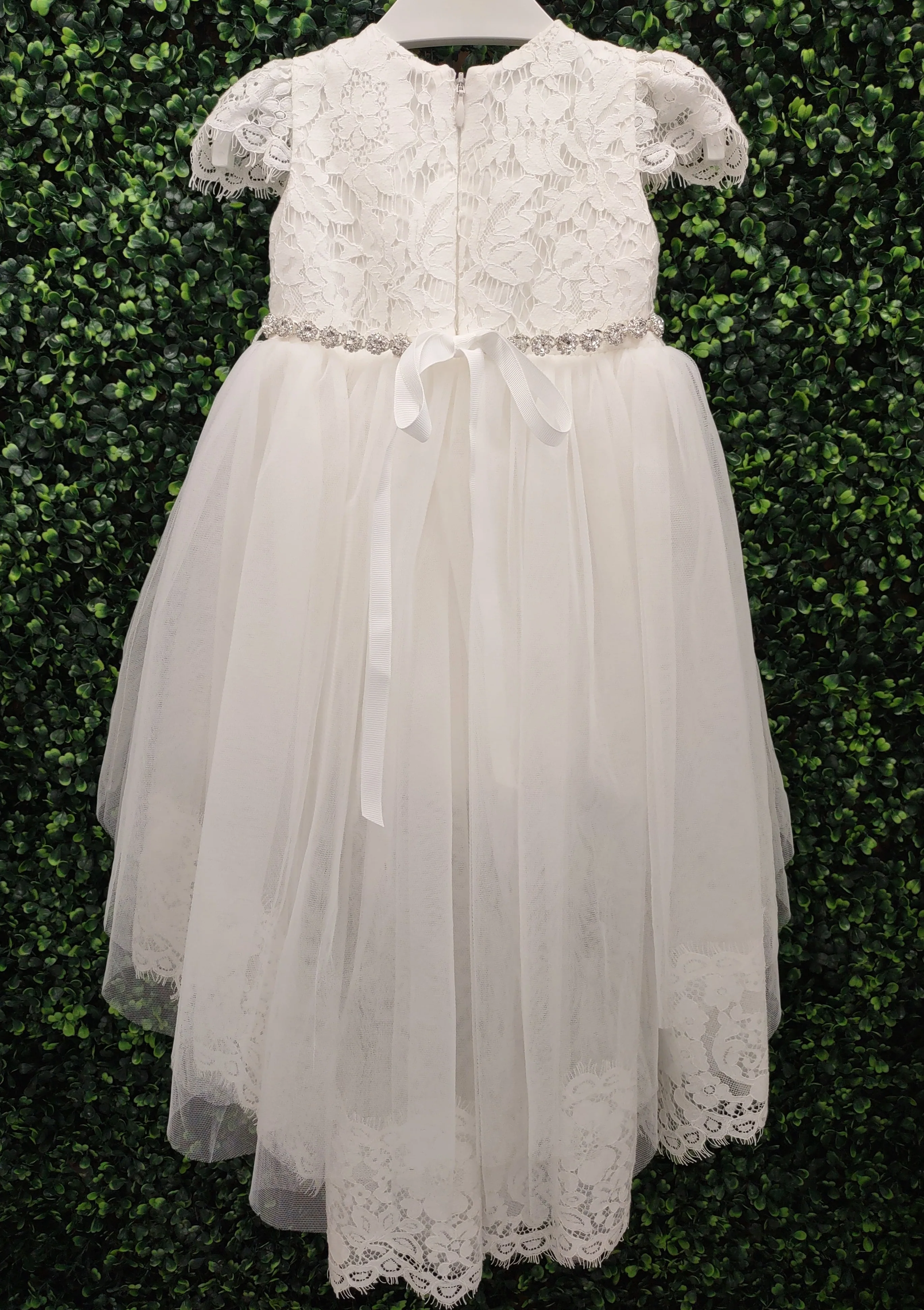 Teter Warm Lace Short Sleeve Dress With Train - B107 - Image 6